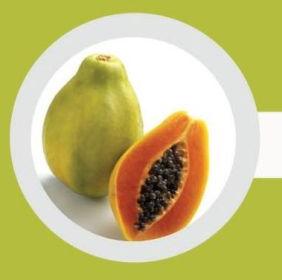 Fresh Papaya