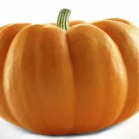 fresh Pumpkin