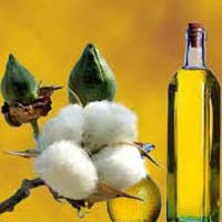 Cotton Seed Oil