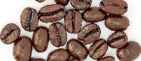 Roasted Coffee Beans