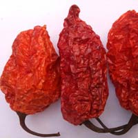 Bhut Jolokia Red Chilli Pods