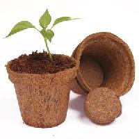 coconut coir