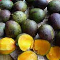 Fresh Kasturi Mango