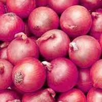 Pink Onion