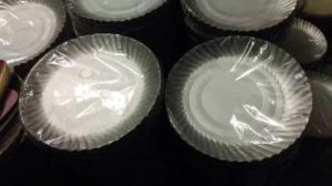 10 Inch Disposable Paper Plates