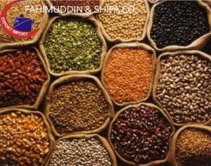 Indian Pulses