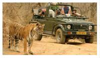 Kerala Wild Life Packages