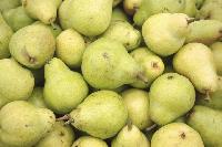 Fresh Pears