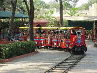 Amusement Train Ride