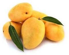 Fresh Mango