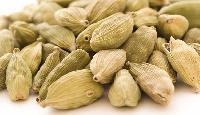 Cardamom