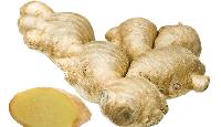 Dry Ginger