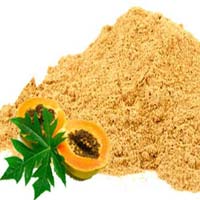 Dehydrated Papaya Powder