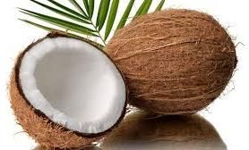 Coconut Products