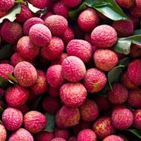 Fresh Lychee