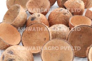 Coconut Shell