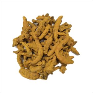 dried turmeric finger