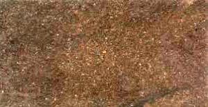 Coffee Brown Granite Slabs