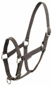 PP Horse Halters