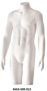 Male Torso