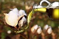 Cotton Oil