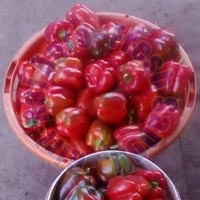 Colour Capsicums