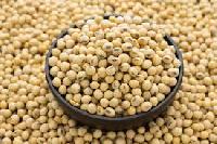 Soybean Extract