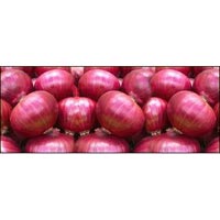 Red Onion