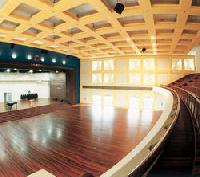 Auditorium Wooden Floorings