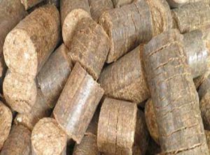 Biomass Briquettes