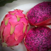 Fresh Dragon Fruit