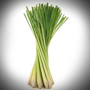 Fresh Lemongrass