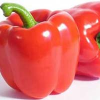 Fresh Red Capsicum