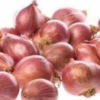 Fresh Red Small Onion