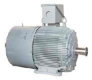 Industrial Electric Motors