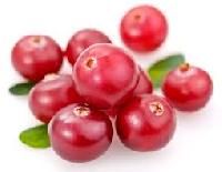 Cranberry