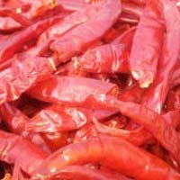 Dried Red Chilli