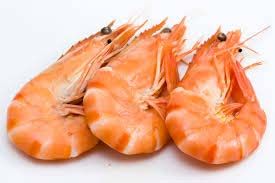 Frozen Shrimps Fish