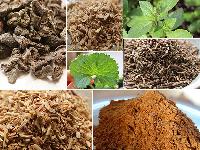 Ayurvedic Herbs