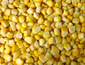 corn kernels