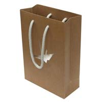 Rope Handle Paper Carry Bags