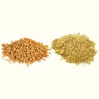 Fenugreek Seeds