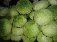 Fresh Cabbage