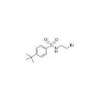 4 (Tertiary) butyl Benzene 1 sulfonamide