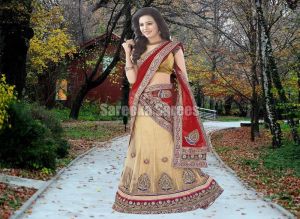 Lehenga Sarees