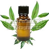 Patchouli Oil