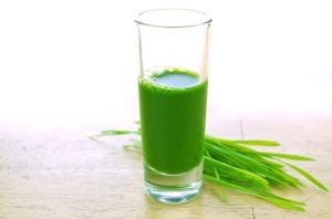 Wheat Grass Juice