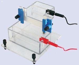 Vertical Electrophoresis System