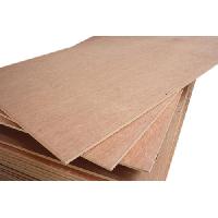 Timber Plywood