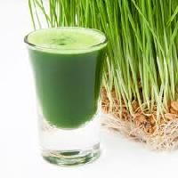 Wheatgrass Juice